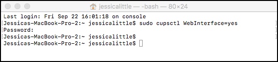 CUPS_2.jpeg
